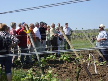 13.05.2008 Wanderung in Biebelsheim /Rheinhessen