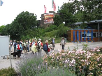 08.07.2008 Rheinsteigwanderung -Loreley-