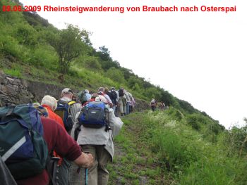 09.06.2009 Rheinsteigwanderung -bei Braubach-